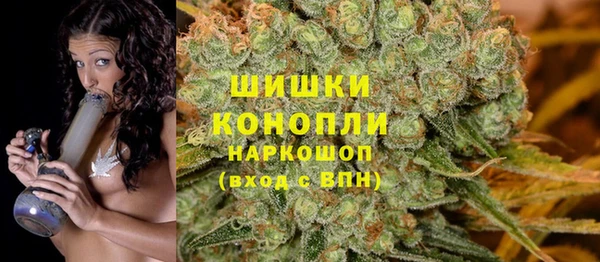 дурь Арсеньев