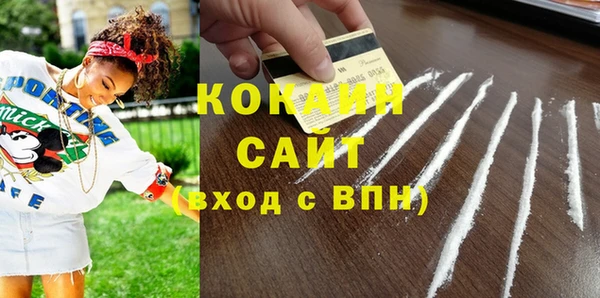 шишки Армянск