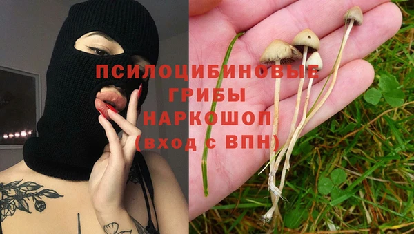 дурь Арсеньев